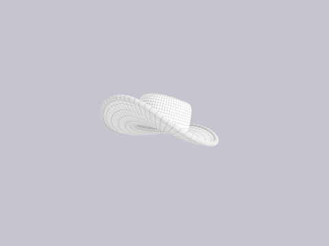 Hat322 Model 3D