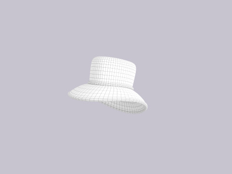 Hat324 3D Model