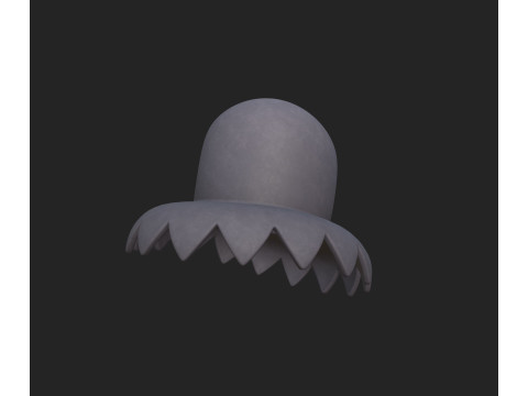 Hat337 3D Model