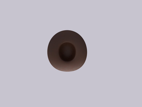 Hat341 Modèle 3D