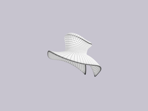 Hat343 3D Модель