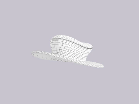 Hat344 3D Model