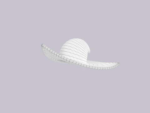 Hat346 3D Model