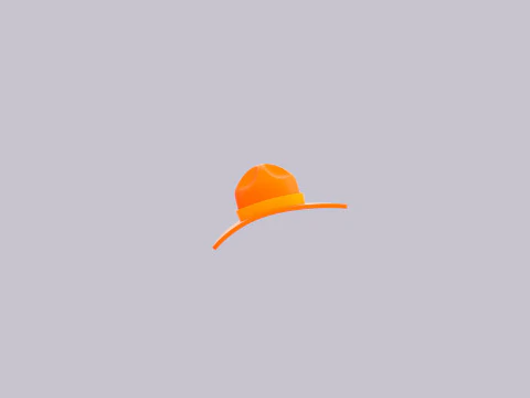 Hat352 3D Model