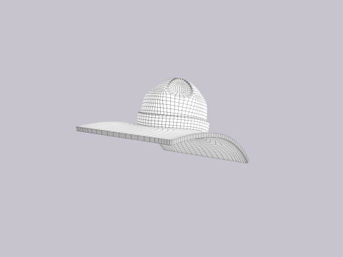 Hat352 3D Model