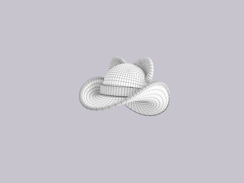 Hat354 3D Model