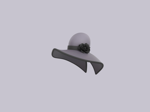 Hat355 3D Model