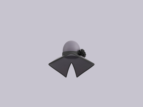 Hat355 3D Model