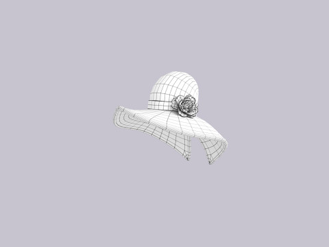 Hat355 3D Model