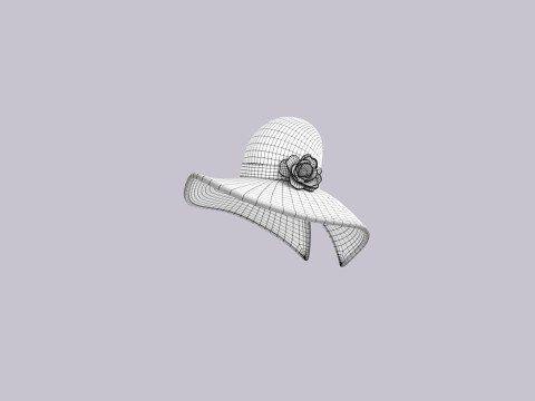 Hat355 3D Model