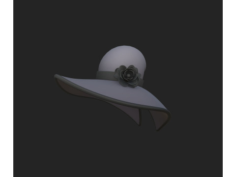 Hat355 3D Model