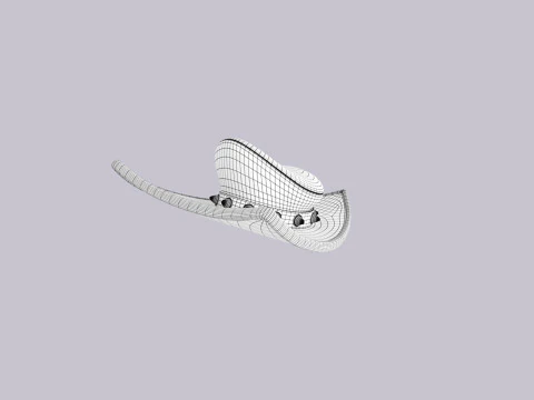 Hat356 3D Model