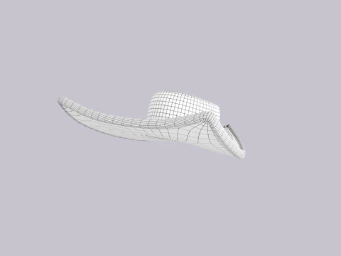 Hat363 3D Model