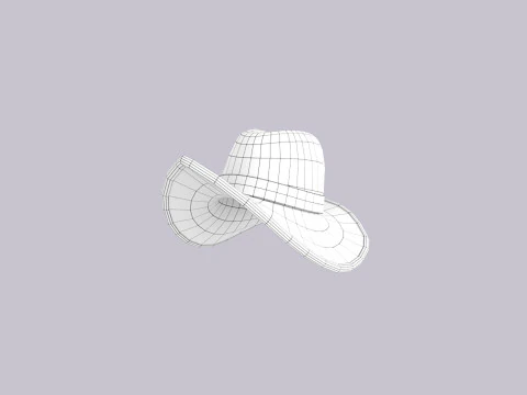 Hat366 3D Model