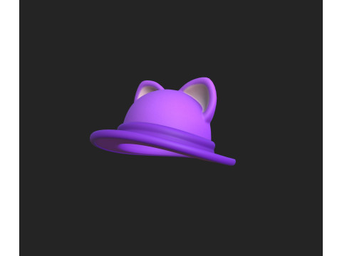 Hat376 Modèle 3D