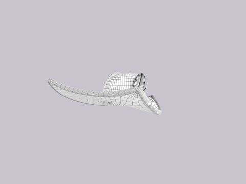 Hat381 3D Model