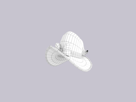 Hat402 Modelo 3D