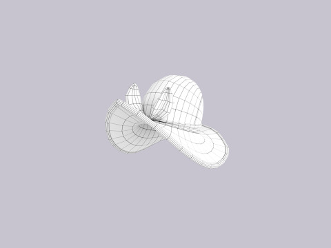 Hat406 3D Model