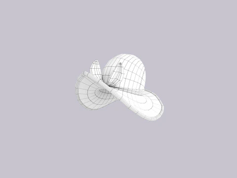 Hat406 3D Model