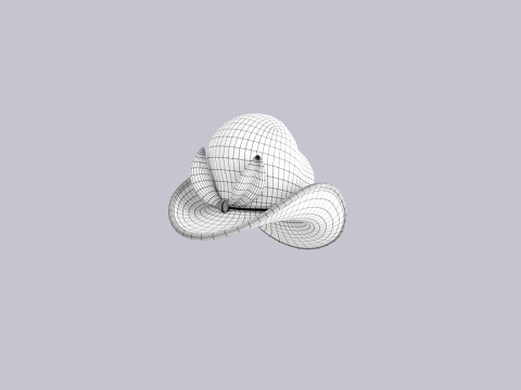 Hat412 3D Model