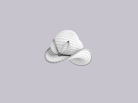 Hat412 3D Model