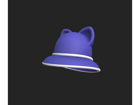 Hat417 3D 모델