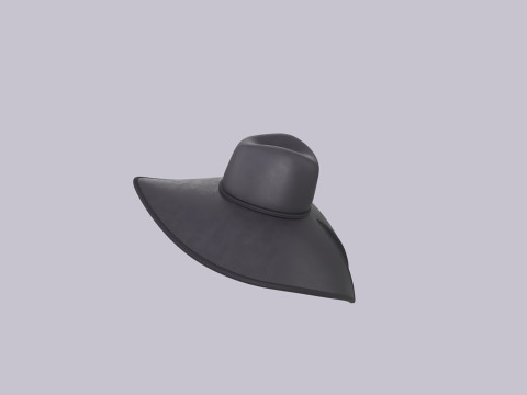 Hat420 Modèle 3D