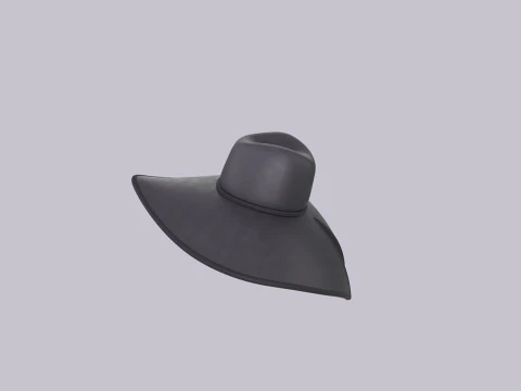 Hat420 3D Model