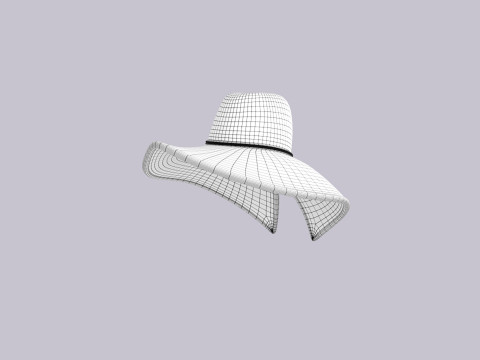 Hat420 Modèle 3D