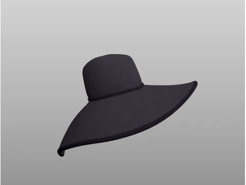 Hat420 3D Model