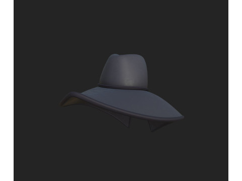 Hat420 Modèle 3D