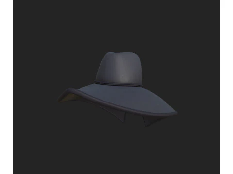 Hat420 3D Model