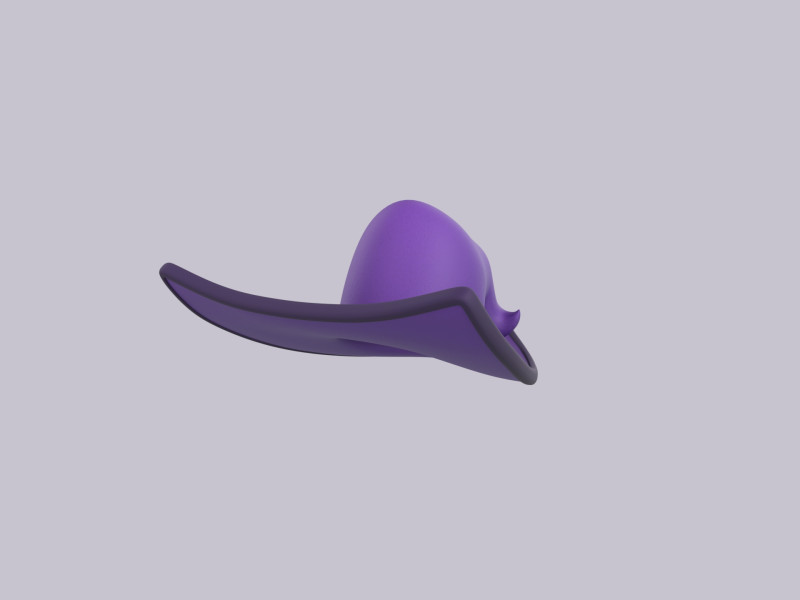 Hat423 Modello 3D .c4d .max .obj .3ds .fbx .stl .blend 