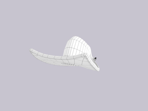Hat423 Modello 3D