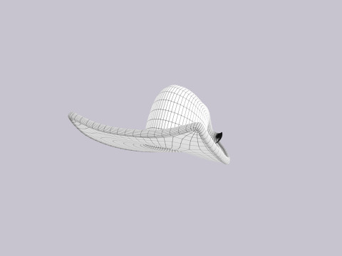 Hat423 Modello 3D