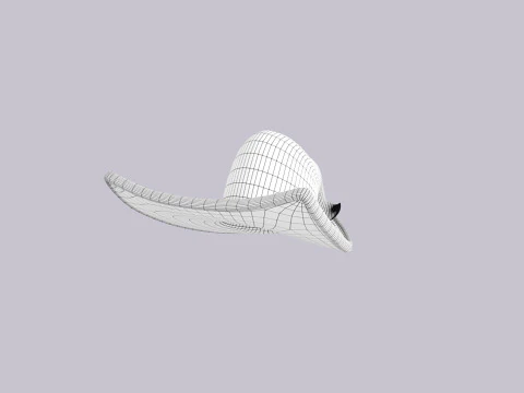 Hat423 3D Model