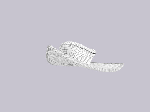 Hat431 3D Model