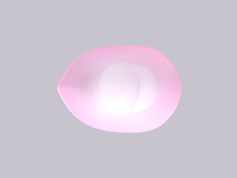Hat438 3D Model