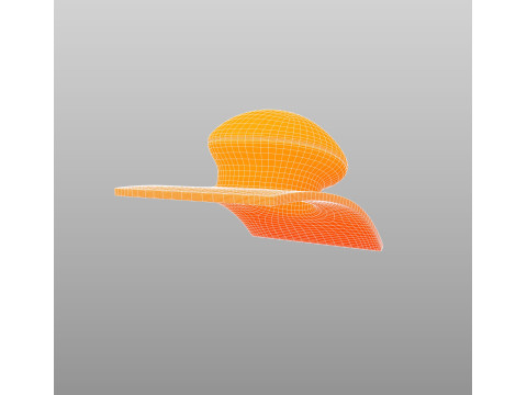 Hat444 3D Model