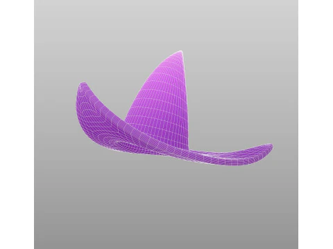 Hat445 3D Model
