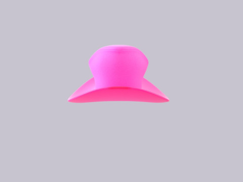 Hat446 Model 3D