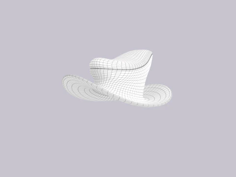 Hat446 3D Model