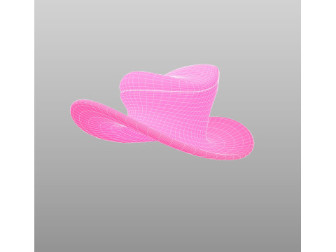 Hat446 Model 3D