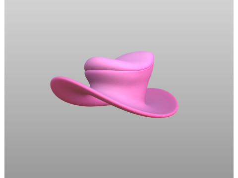 Hat446 Model 3D