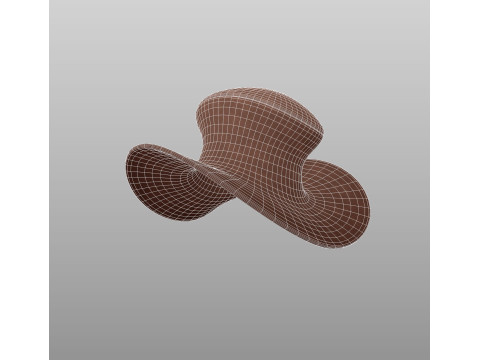 Hat447 3D Model