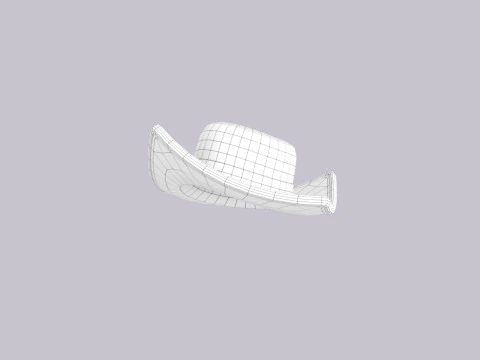Hat451 3D Model