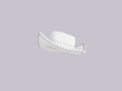 Hat451 3D Model