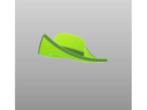 Hat451 Model 3D