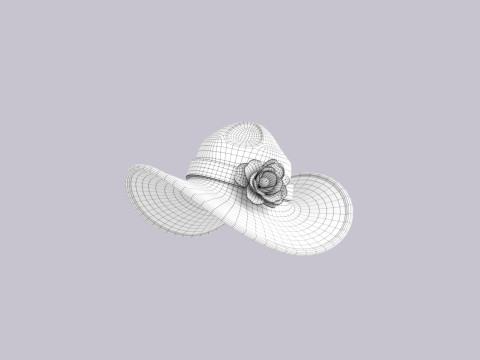 Hat452 3D मॉडल