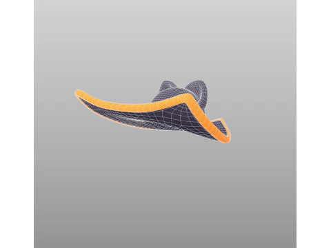 Hat457 3D Model